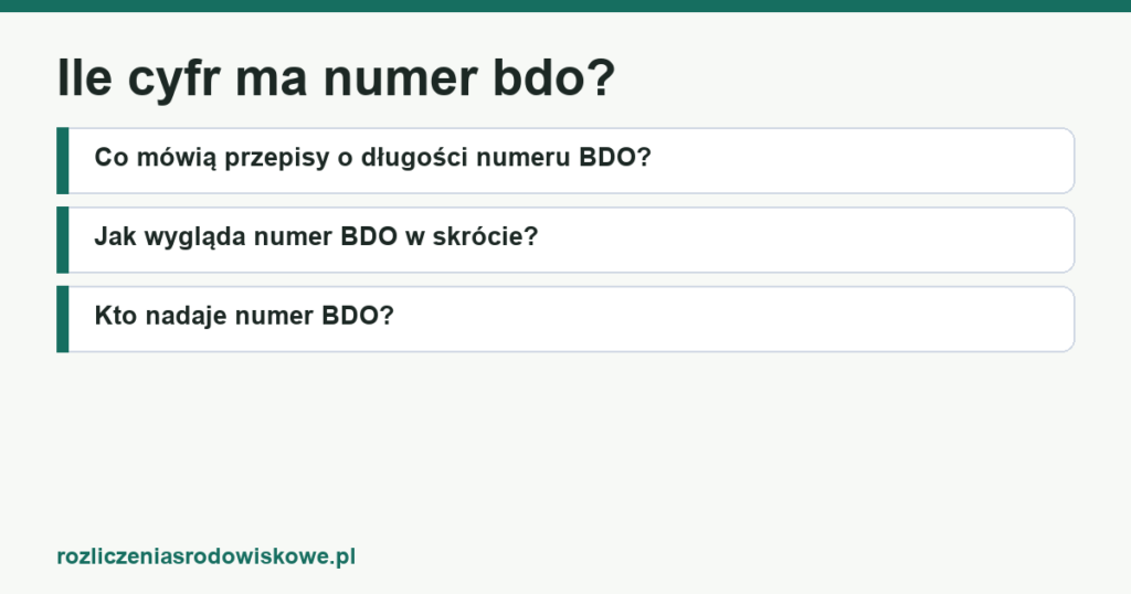 Ile cyfr ma numer bdo?