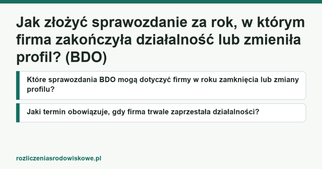 Jak złożyć sprawozdanie za rok, w którym firma zakończyła działalność lub zmieniła profil? (BDO)